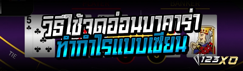 วิธีใช้จุดอ่อนบาคาร่า ทำกำไรแบ